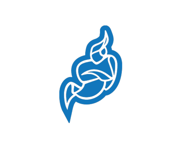 Docker搭建开源视频会议平台